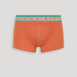 Significant Other Briefs Mecca Orange & Electric Green